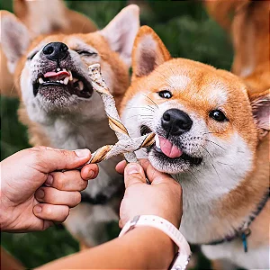 Mordedor Palitinhos de Pele Bovina 4un - Natuka