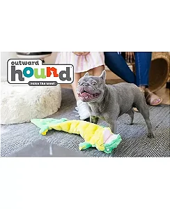 JACARÉ SQUEAKER MATZ - OUTWARD HOUND XL