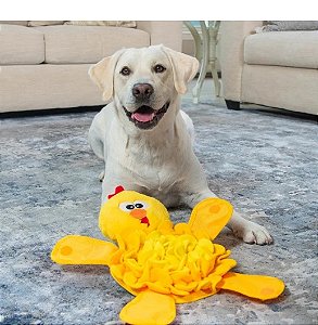Tapete de Fuçar Interativo Outward Hound Snuffle Palz Large - 2 em 1