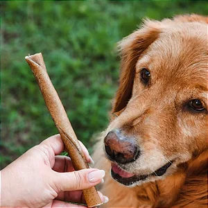 Mordedor resistente Natuka Buba P - Pele de Bufalo