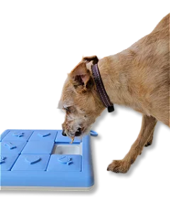 Puzzle Tabuleiro Interativo para cães - Fuzzie