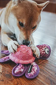 Qmonster Brinquedo para cachorro - Tartaruga Marinha 2in1 dispensador de pesticos - Petta