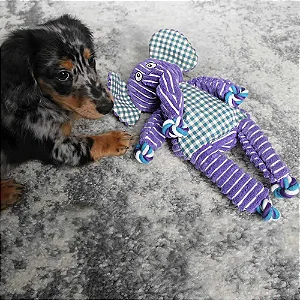 Pelúcia Resistente com Corda Kong Knot Floppy Elefante - Tamanhos