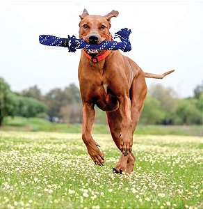 Kong Scrubz by Hogz Cores Variadas - P