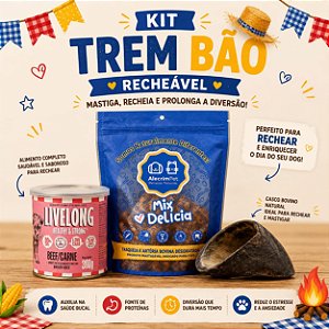 KIT TREM BÃO RECHEÁVEL