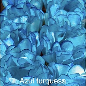 24 Forminhas Para Doces Finos Luxo Celebrare Azul Turquesa