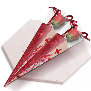 10 CAIXA FLOR COM VISOR LINHA ROSES 1036 ( DIA DAS MÃES JANGO 2026 ) OUTLET