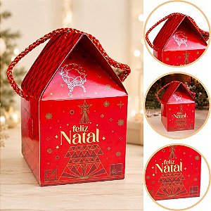 10 CAIXA CASINHA P/ MINI PANETONE DE 100G C/ ALÇA 10X10X17 6201 ( NATAL IDEIA 2026 )