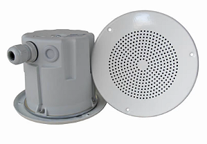 Alto Falante de Teto Com Caixa de Poeira - 5" - 6w - IP22 - DNH - BF-560(T)