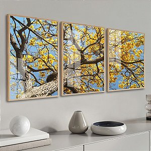 Coleção Cerrado Ipê Amarelo