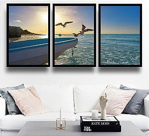 Coleção Mar Gaivota Embarcação