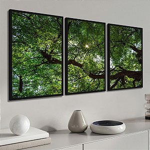 Coleção Natureza - Árvore Majestosa