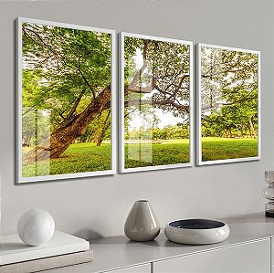 Coleção Cerrado Árvore Majestosa