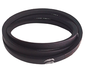 CORREIA C-51