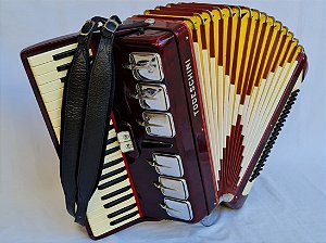 Acordeon 120 Baixos Todeschini Dente de Coelho