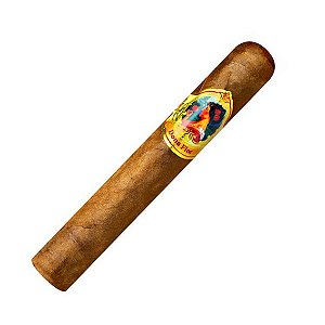 Charuto Dona Flor Robusto Un