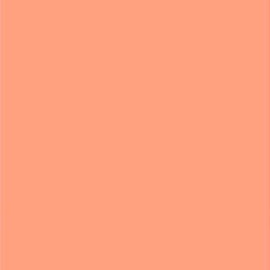 PLACA EVA 40X50CM SALMAO