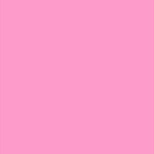 PLACA EVA 40X48CM ROSA