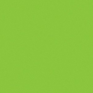 PLACA EVA 40X48CM VERDE CLARO