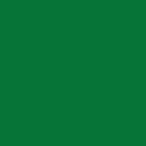 PLACA EVA 40X48CM VERDE ESCURO