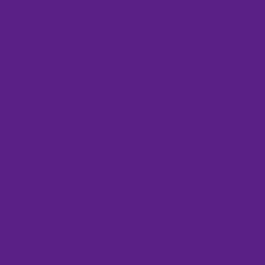 PLACA EVA 40X48CM ROXO