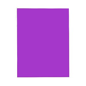 PAPEL COLOR SET 48X66 ROXO