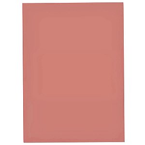 PAPEL COLOR SET 48X66 SALMAO