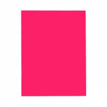 PAPEL COLOR SET 48X66 PINK