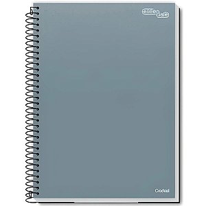 CADERNO UNIV 1 MATERIA CD ESSENCIALE 80FLS CREDEAL
