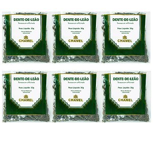 Chá Dente de Leão Natural Kit 6 Pacotes Chamel