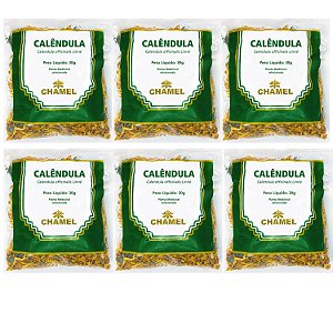 Chá Calêndula Flores Natural Kit 6 Pacotes Chamel