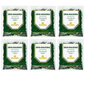 Chá Erva Baleeira Natural Kit 6 Pacotes Chamel