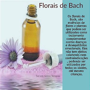 Florais De Bach - Indicação Personalizada