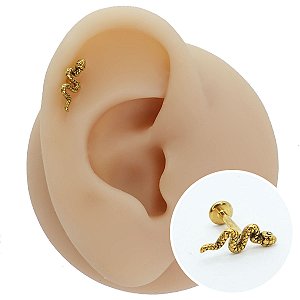Piercing Labret em Aço PVD Cobra
