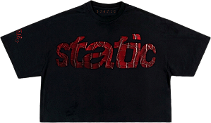 CAMISETA BOXY DIGITAL CROCO STATIC (Black)