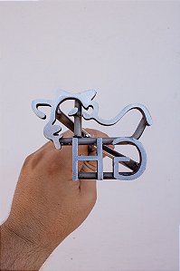 Marcador de Gado em Aço Inox 304 - CONVENCIONAL  - até 3 letras