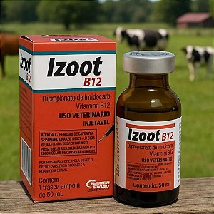 Izoot B12 Injetável 15ml