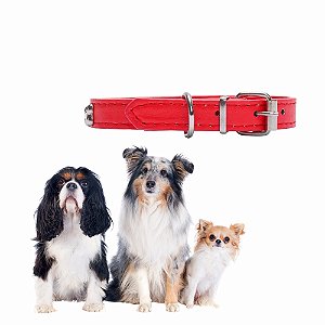 Coleira de Couro Forrada Nº 00 / 01 / 02