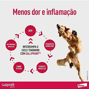 Galliprant 100mg com 7 Tabletes