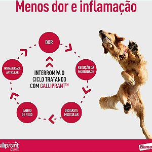 Galliprant 60mg com 7 Comprimidos