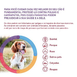 Antipulgas Bravecto Transdermal 1400mg Cães de 40kg à 56kg