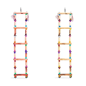 Brinquedo Calopsita Escada Redonda 5 Degr.