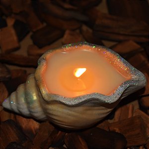 VELA CONCHA DO MAR