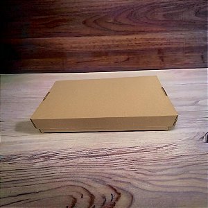 Caixa Salgado GG 30,5cm Largura X 50cm Comprimento X 7cm Altura Unidade