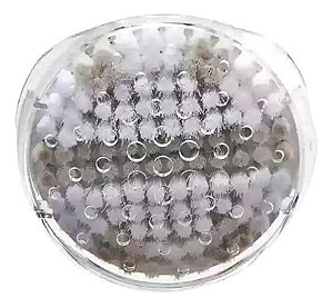 Cabeça Esfoliadora Para Bre650 Bre632 Philips Branco