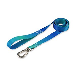 Guia para Cachorros Basic Pet Lake
