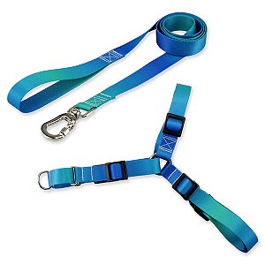 Kit para Cachorros Guia Basic + Peitoral Antipuxão Lake