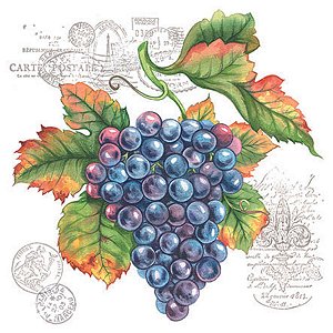 Guardanapo Grape Vine 13311100 Ambiente com 2 peças
