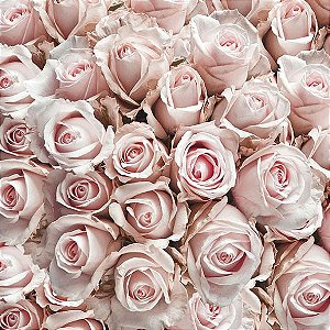Guardanapo Pastel Roses 13311450 Ambiente com 2 peças
