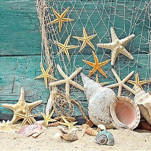 Guardanapo Starfish 13310365 Ambiente com 2 peças